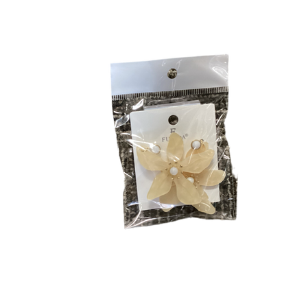 Earrings (Pair)