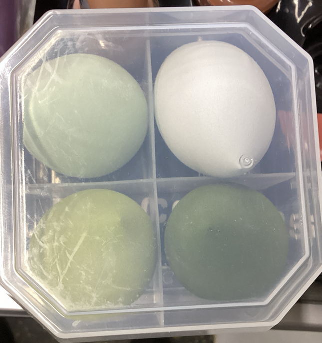 Makeup Sponge Set 4pc